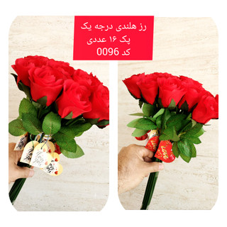 رز هلندی