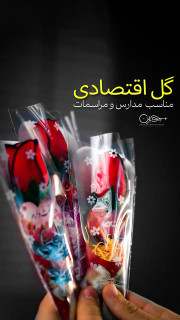 گل اقتصادی بستهبندی ۲۴ عددی