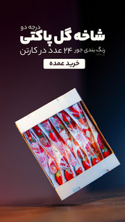 شاخه گل مخملی در ۶ طرح پاکت بسته بندی ۲۴عددی
